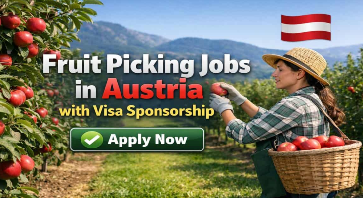 Fruit Picking Jobs in Australia 2026 – Visa Sponsorship
